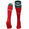 Portugal Niños Calcetines 2025 Casa Rojo - Equipacion Portugal Niños | escamisetasfutbol
