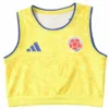 Colombia Mujer Camiseta 2026 Casa Amarilla - Camiseta Colombia Mujer 2026 | escamisetasfutbol