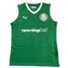SE Palmeiras Camiseta 2025 2026 Casa Verde - Camiseta Kidsuper X Se Palmeiras Graphic Masculina | escamisetasfutbol