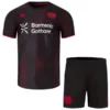 Bayer 04 Leverkusen Conjunto 2025 2026 Casa Rojo - Bayer 04 Leverkusen Equipacion | escamisetas-futbol.com