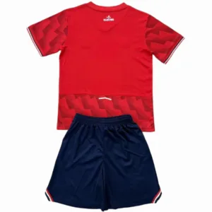 Lille OSC Conjunto 2025 2026 Casa Rojo - Lille Osc 2026 | escamisetasfutbol