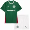 SE Palmeiras Conjunto 2026 2027 Casa Verde - SE Palmeiras Barata | escamisetasfutbol