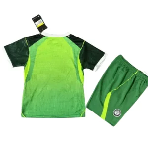 Nigeria Niños Conjunto 2026 Casa Verde - Nigeria Niños Barata | escamisetasfutbol