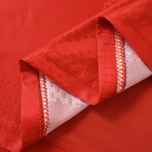 Gales Camiseta Edición Jugadores 2026 Casa Roja - Camiseta Gales Rugby | escamisetasfutbol