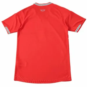 Gales Camiseta Edición Jugadores 2026 Casa Roja - Camiseta Gales Rugby | escamisetasfutbol