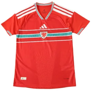 Gales Camiseta Edición Jugadores 2026 Casa Roja - Camiseta Gales Rugby | escamisetasfutbol