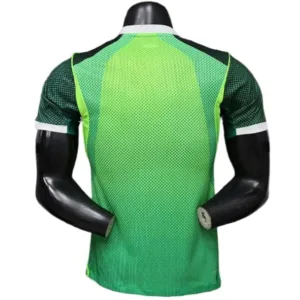 Nigeria Camiseta Edición Jugadores 2026 Casa Verde - Camiseta Nigeria | escamisetasfutbol
