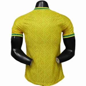 Sudafrica Camiseta Edición Jugadores 2026 Casa Amarilla - Camiseta Sudafrica 2026 | escamisetasfutbol