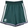 Arabia Saudita Pantalones Edición Jugadores 2026 Casa Verde - Pantalón Arabia Saudita | escamisetasfutbol