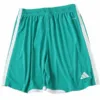 Irlanda Del Norte Pantalones 2026 Casa Verde - Pantalón Irlanda Del Norte | escamisetasfutbol