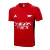 Arsenal Chándal 2025 2026 Rojo - Maglia Arsenal | escamisetasfutbol