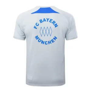 Bayern Múnich Chándal 2025 2026 Gris - Tuta Bayern Múnich | escamisetasfutbol