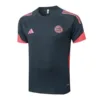 Bayern Múnich Chándal 2025 2026 Gris - Chándal Bayern Múnich | escamisetasfutbol