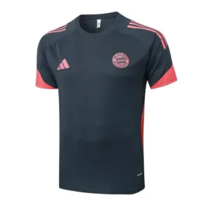 Bayern Múnich Chándal 2025 2026 Gris - Chándal Bayern Múnich | escamisetasfutbol