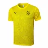 Borussia Dortmund Chándal 2024 2025 Amarillo - Tuta Borussia Dortmund | escamisetasfutbol