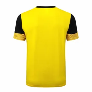 Borussia Dortmund Chándal 2025 2026 Amarillo - Chándal Borussia Dortmund | escamisetasfutbol