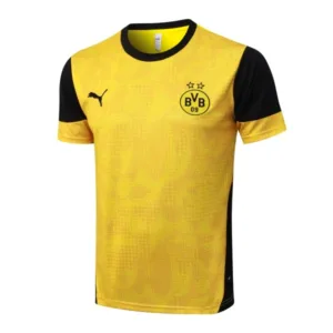Borussia Dortmund Chándal 2025 2026 Amarillo - Chándal Borussia Dortmund | escamisetasfutbol