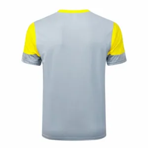 Borussia Dortmund Chándal 2025 2026 Gris - Chándal Borussia Dortmund | escamisetasfutbol