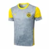Borussia Dortmund Chándal 2025 2026 Gris - Chándal Borussia Dortmund | escamisetasfutbol