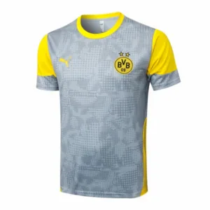 Borussia Dortmund Chándal 2025 2026 Gris - Chándal Borussia Dortmund | escamisetasfutbol