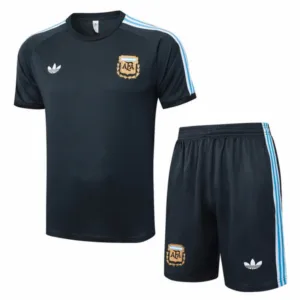 Argentina Conjunto 2026 Gris - Maglia Argentina 2026 | escamisetasfutbol