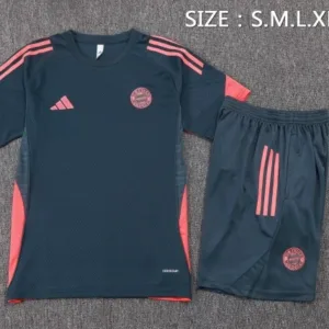 Bayern Múnich Conjunto 2025 2026 Gris - Bayern Múnich Barata | escamisetasfutbol
