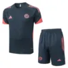 Bayern Múnich Conjunto 2025 2026 Gris - Bayern Múnich Barata | escamisetasfutbol