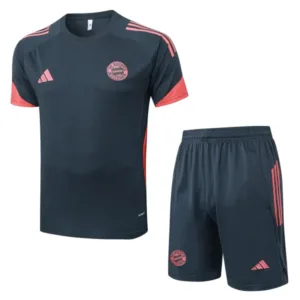 Bayern Múnich Conjunto 2025 2026 Gris - Bayern Múnich Barata | escamisetasfutbol