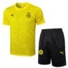 Borussia Dortmund Conjunto 2024 2025 Amarillo - Tuta Borussia Dortmund | escamisetasfutbol