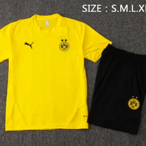 Borussia Dortmund Conjunto 2024 2025 Amarillo - Tuta Borussia Dortmund | escamisetasfutbol