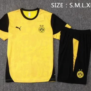 Borussia Dortmund Conjunto 2025 2026 Amarillo - Borussia Dortmund Barata | escamisetasfutbol