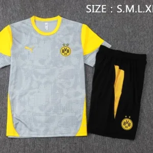 Borussia Dortmund Conjunto 2025 2026 Gris - Borussia Dortmund Barata | escamisetasfutbol
