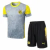 Borussia Dortmund Conjunto 2025 2026 Amarillo - Borussia Dortmund Barata | escamisetasfutbol
