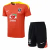 Brasil Conjunto 2026 Naranja - Brasil Barata | escamisetasfutbol