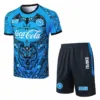 SSC Napoli Conjunto 2025 2026 Azul - Ssc Napoli Equipacion | escamisetasfutbol