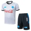 SSC Napoli Conjunto 2025 2026 Blanco - Ssc Napoli Equipacion | escamisetasfutbol