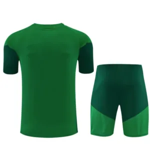 Argelia Niños Conjunto 2026 Verde - Argelia Niños Barata | escamisetasfutbol