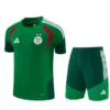 Argelia Niños Conjunto 2026 Verde - Argelia Niños Barata | escamisetasfutbol