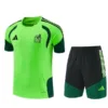 México Niños Conjunto 2026 Verde - Playera Mexico 2026 Niños | escamisetasfutbol