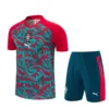 Portugal Conjunto 2026 Rojo - Portugal Barata | escamisetasfutbol