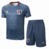 São Paulo Conjunto 2025 2026 Gris - Maglia Sao Paulo | escamisetasfutbol