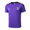 Corinthians Paulista Chándal 2025 2026 Púrpura - Corinthians Paulista 2026 | escamisetasfutbol