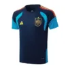 España Chándal 2026 Azul - Chándal España | escamisetasfutbol