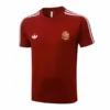España Chándal 2026 - Chándal España | escamisetasfutbol
