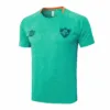 Fluminense Chándal 2025 2026 Verde - Maglia Fluminense | escamisetasfutbol