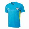 Manchester City Chándal 2024 2025 Azul - Maglia Manchester City | escamisetasfutbol