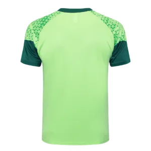 SE Palmeiras Chándal 2025 2026 Verde - Tuta SE Palmeiras | escamisetasfutbol