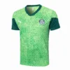 SE Palmeiras Chándal 2025 2026 Verde - Tuta SE Palmeiras | escamisetasfutbol
