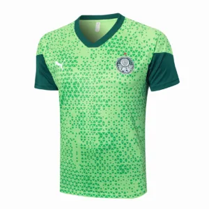 SE Palmeiras Chándal 2025 2026 Verde - Tuta SE Palmeiras | escamisetasfutbol