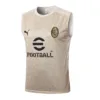 AC Milan Chándal 2024 2025 Amarillo - Maglia Ac Milan | escamisetasfutbol